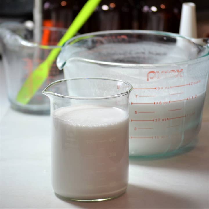 Zanabella Plant Based Skincare - Vente Crème/lotion pour le corps - Lotion pour le corps non parfumée5