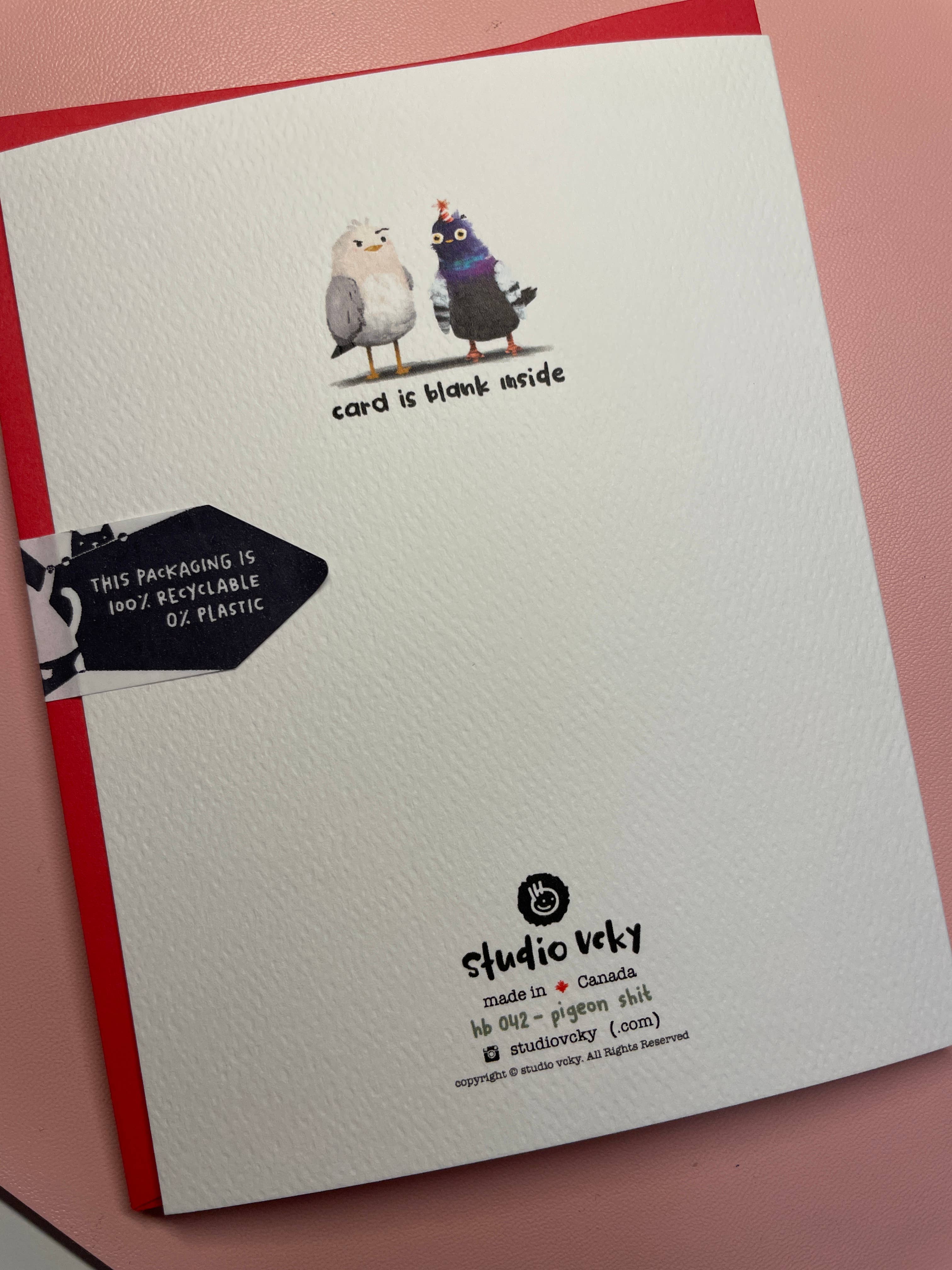 studio vcky - Wholesale Birthday Card - Greeting Card - Pigeon Got You2