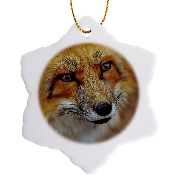 3dRose - Wholesale Ornament - 3dRose, Cute Fox Face Close Up Photo, Ornament
