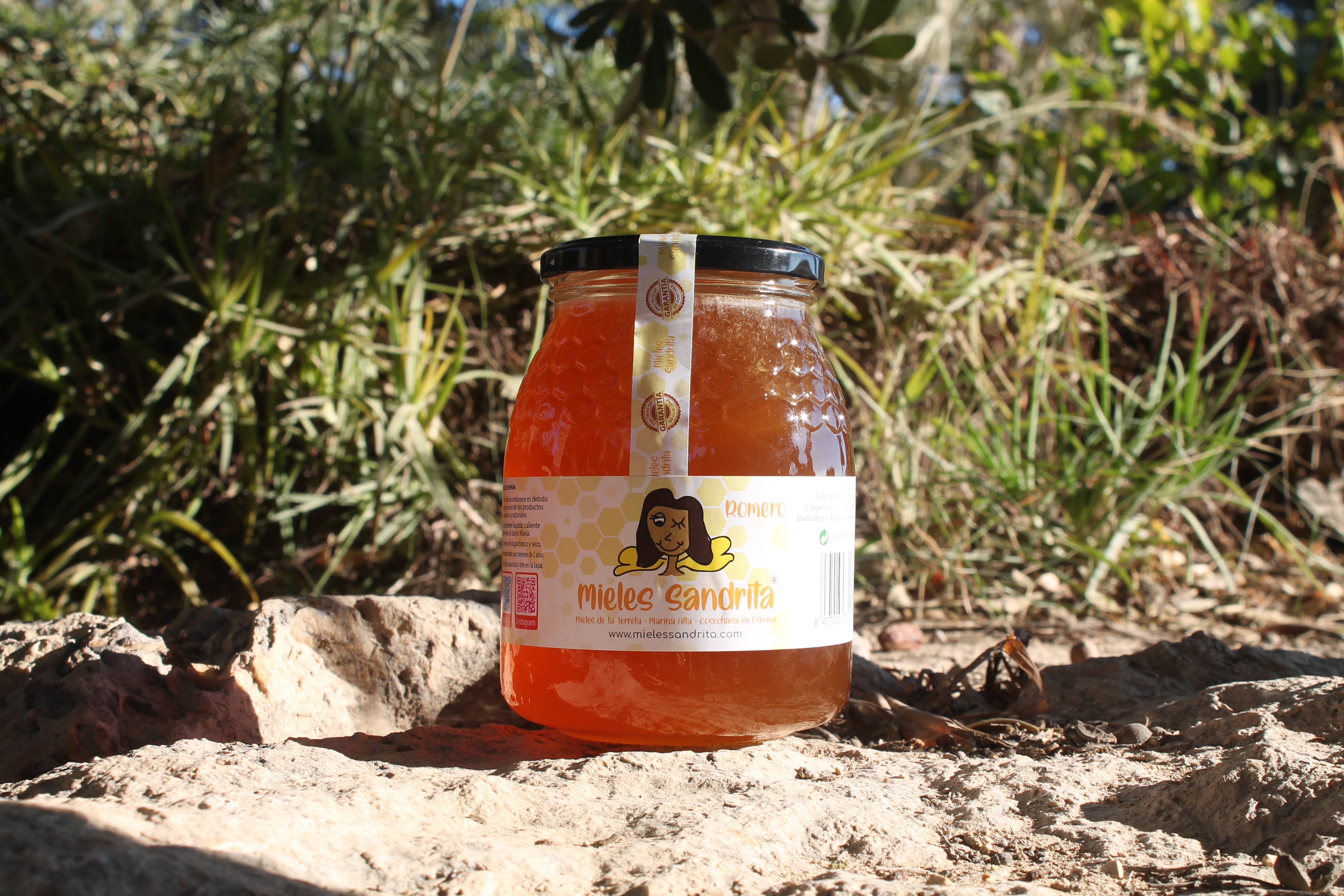 Mieles Sandrita - Wholesale Honey - Rosemary Honey 1 Kg1