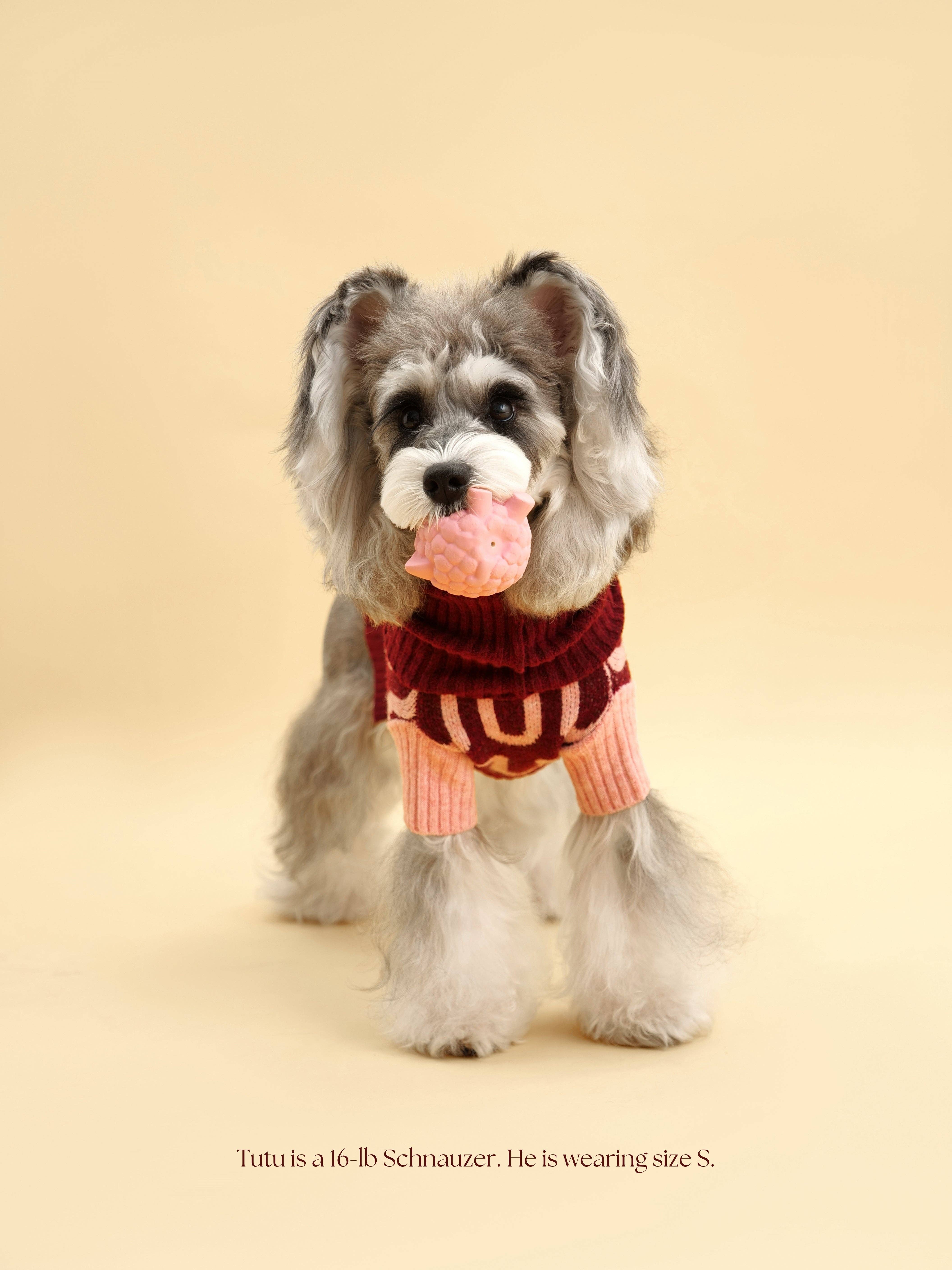 BarkBarkBaby - Wholesale Pet Sweater - Dog - Rosé Bliss Sweater4