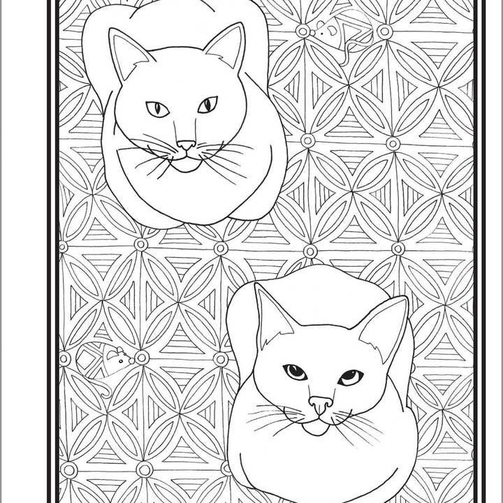 Sourcebooks - Wholesale Coloring & Activity Book - Adult - Butts, Bleps, and Beans Cat Coloring Book5