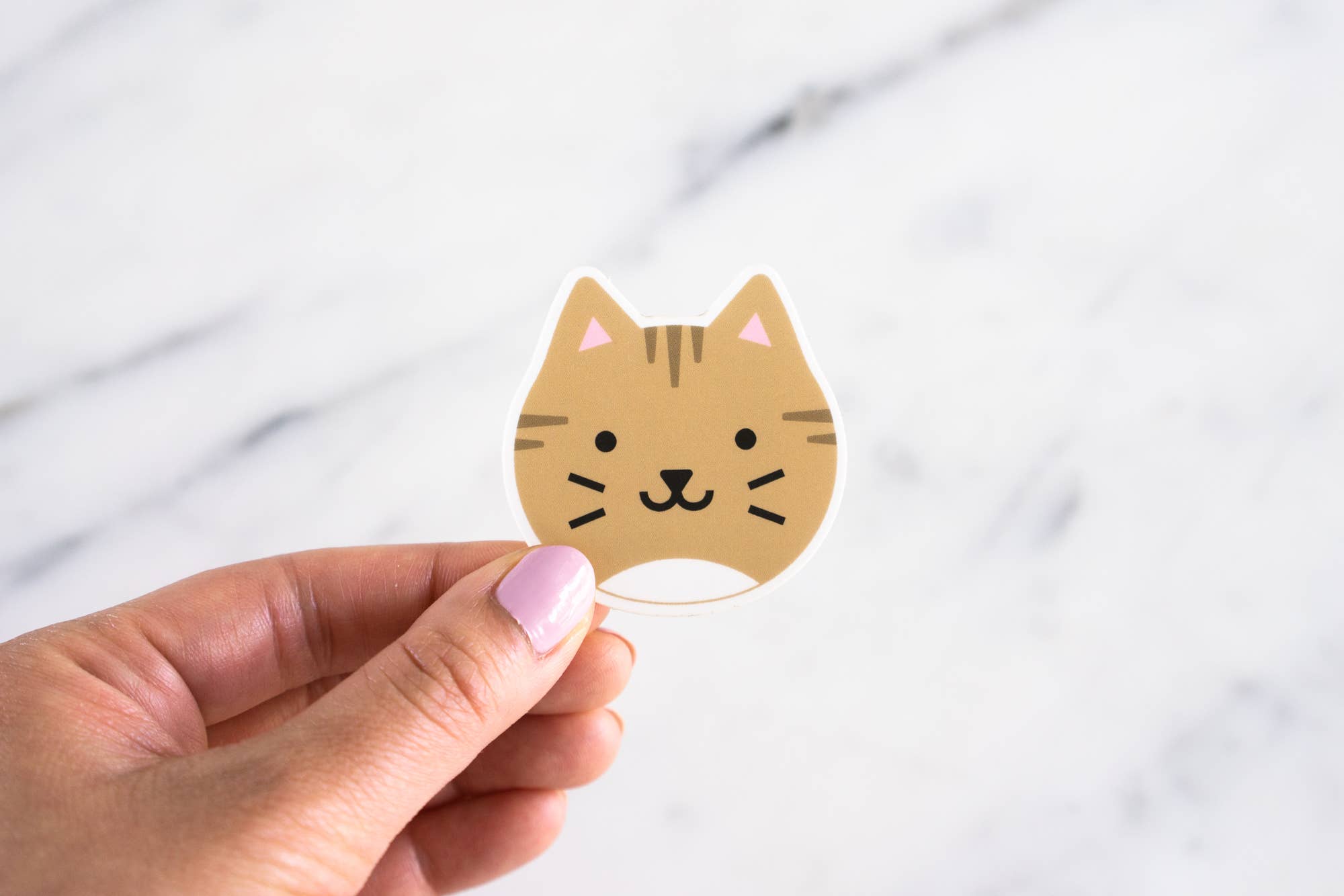 Everyday Olive - Wholesale Sticker - Kitty Face Stickers8