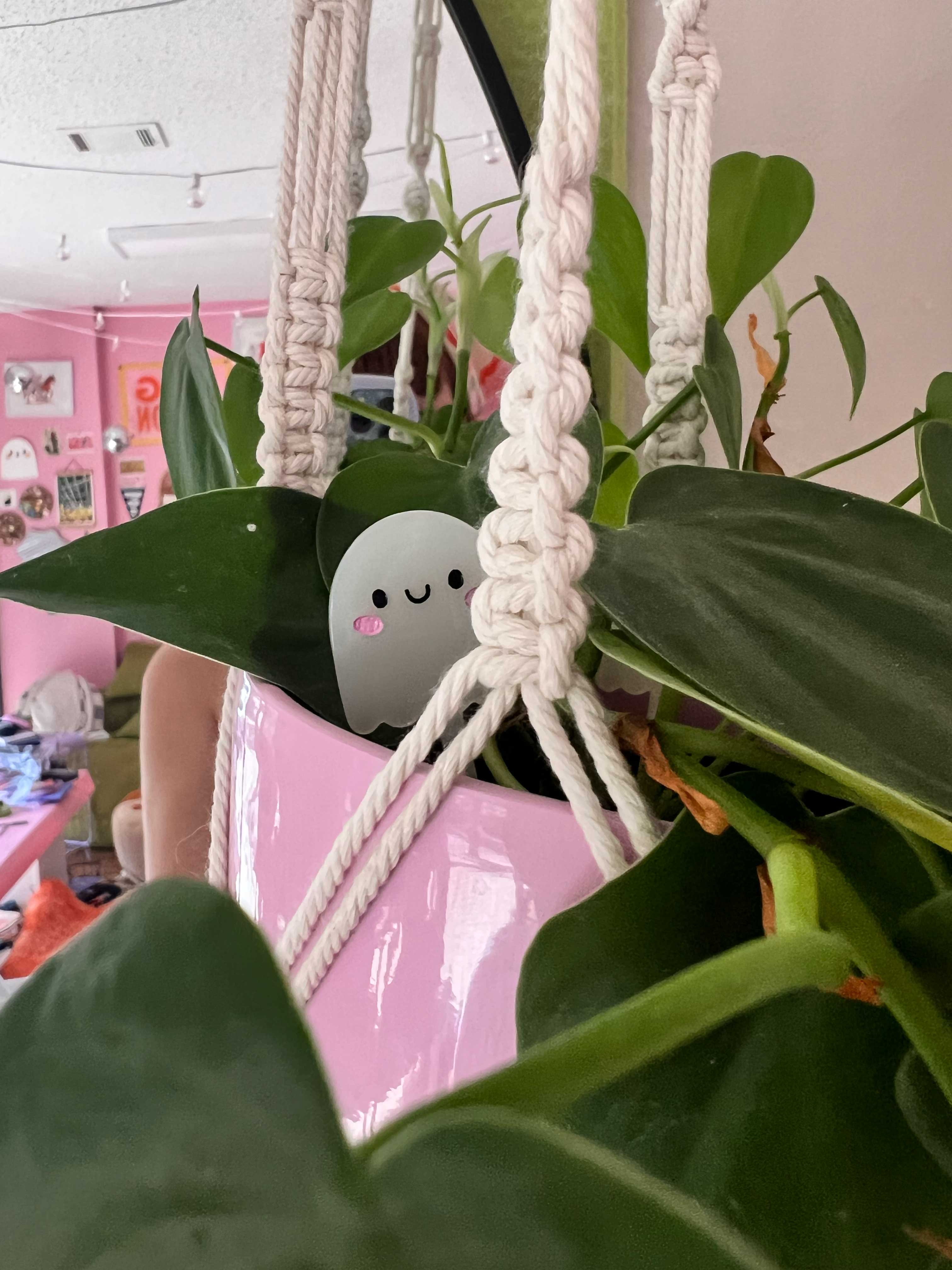 Jollie Ollie Designs - Wholesale Garden Gnome - Ghost Plant Pal1