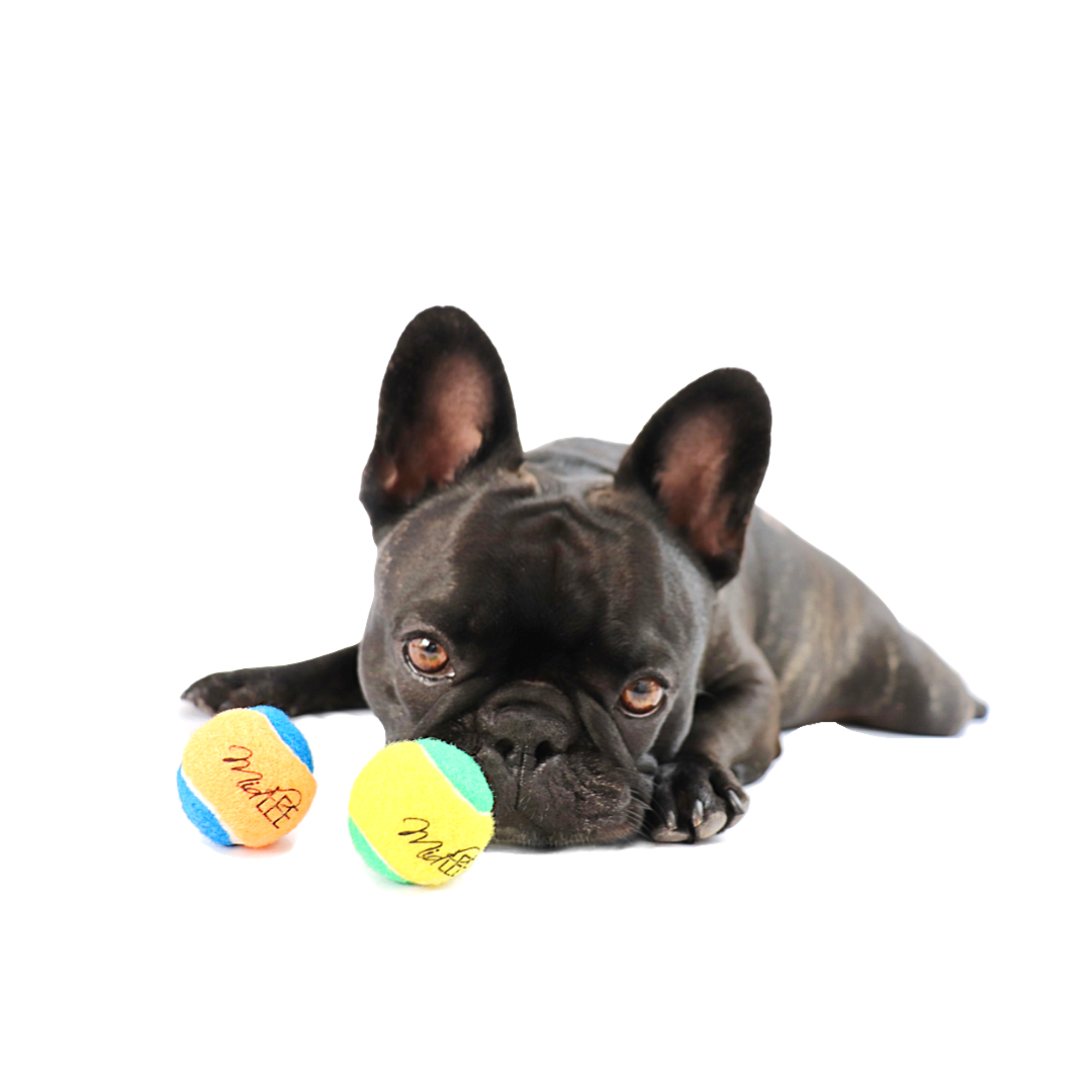 Midlee Designs - Wholesale Pet Fetch Ball - Dog - Midlee X-Small Dog Tennis Balls 1.5" - 12 Pack (Assorted)3