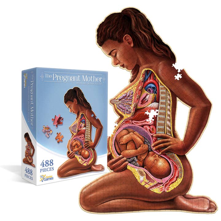 Dr. Livingston’s Anatomy Jigsaw Puzzle: The Pregnant Mother for wholesale by Genius Games
