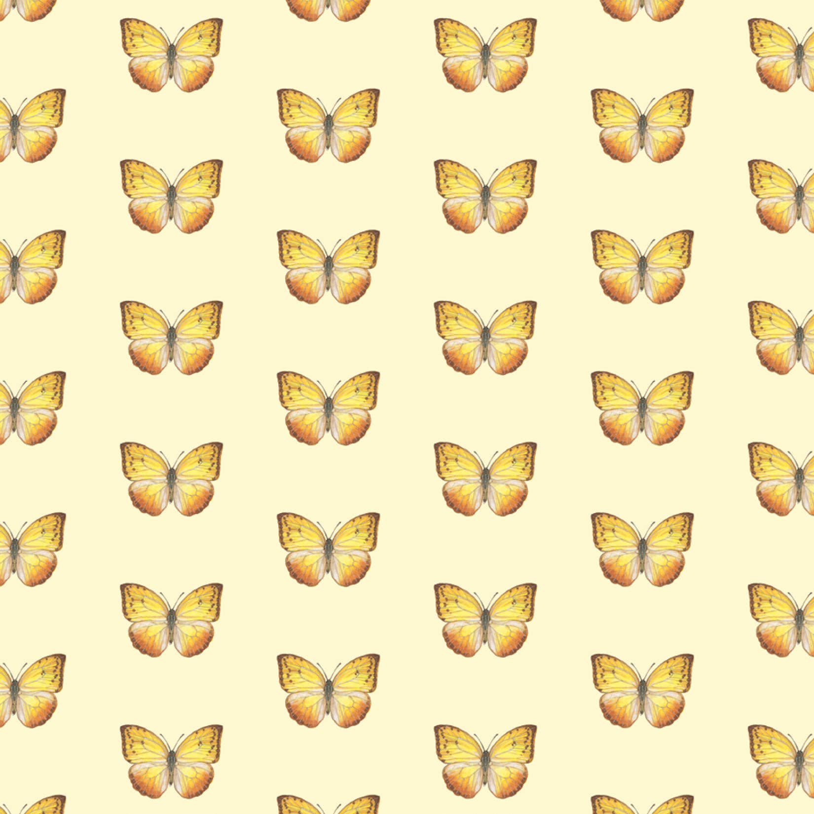 Yeesan Loh - Wholesale Flat Wrap - Gift Wrap / Butterflies & Moths0