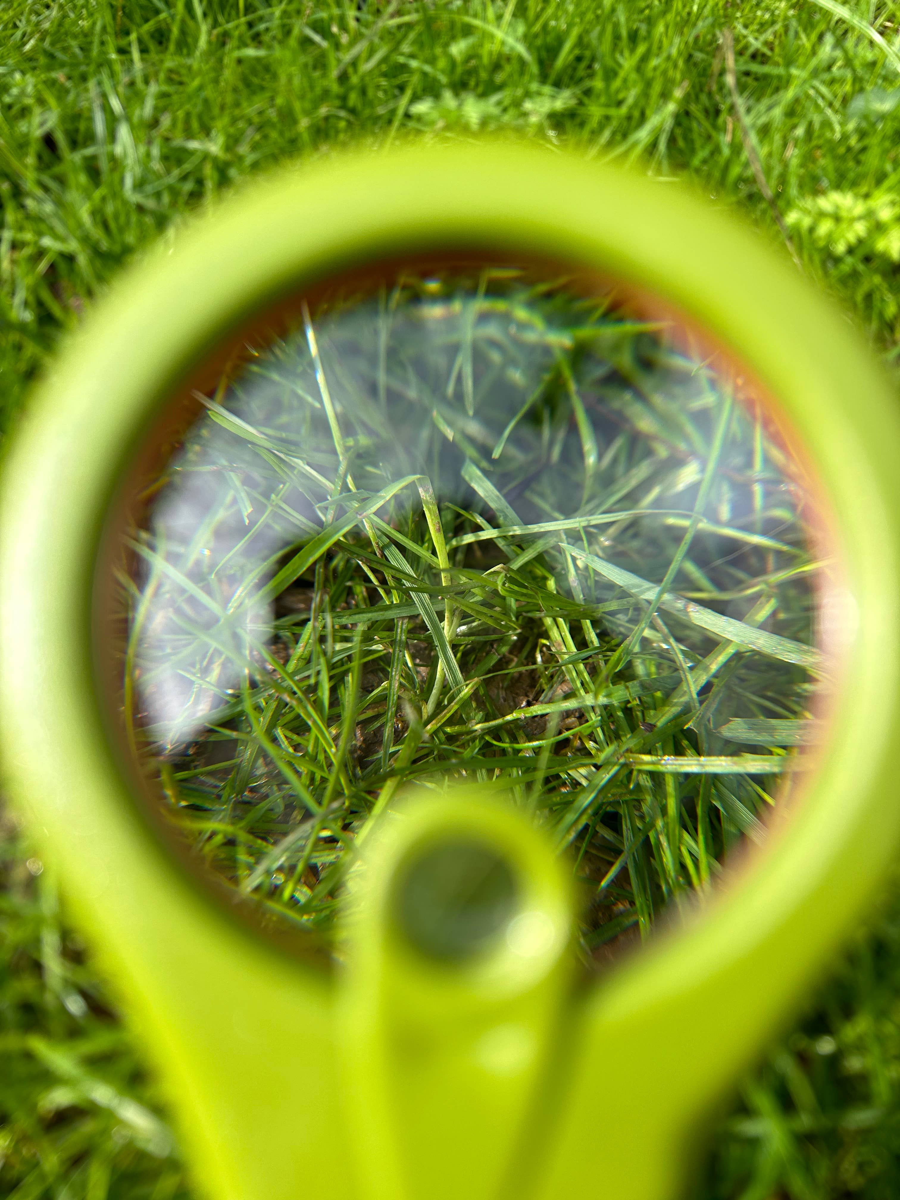 BASS&BASS - Wholesale Magnifying Glass - MEGA MAGNIFYING GLASS - Italy - Discovery of the World - ECO ABS3