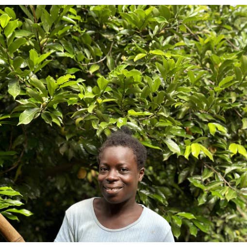 Burlap & Barrel - Wholesale Dried Spice - Ground Grenada Gold Nutmeg- Food Service Single Origin Spice2