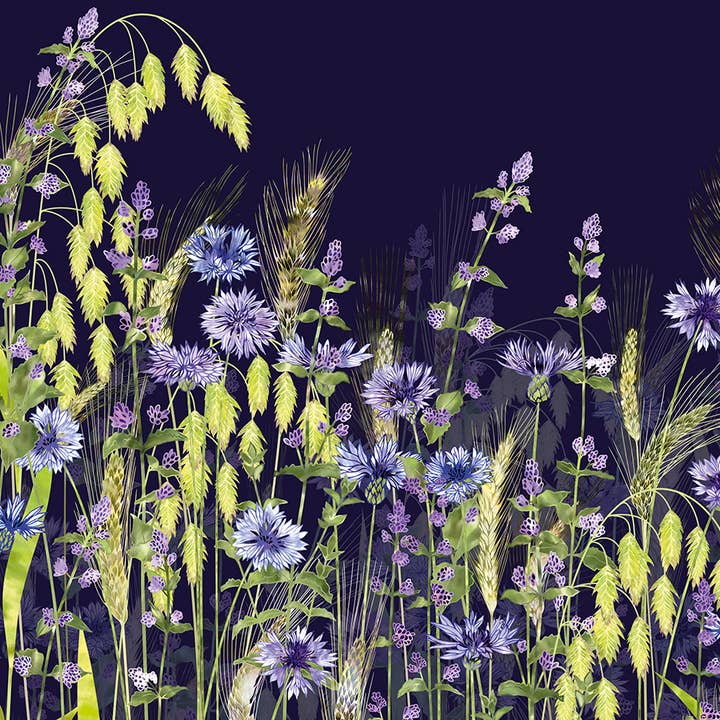 Greeting Card Midnight Field of Fantasia for wholesale by Natural Partners Limited
