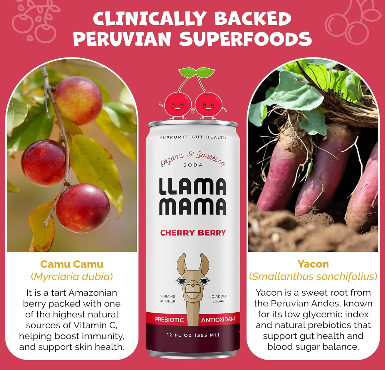 Llama Mama - Wholesale Soda/Carbonated Drink - Cherry Berry 5