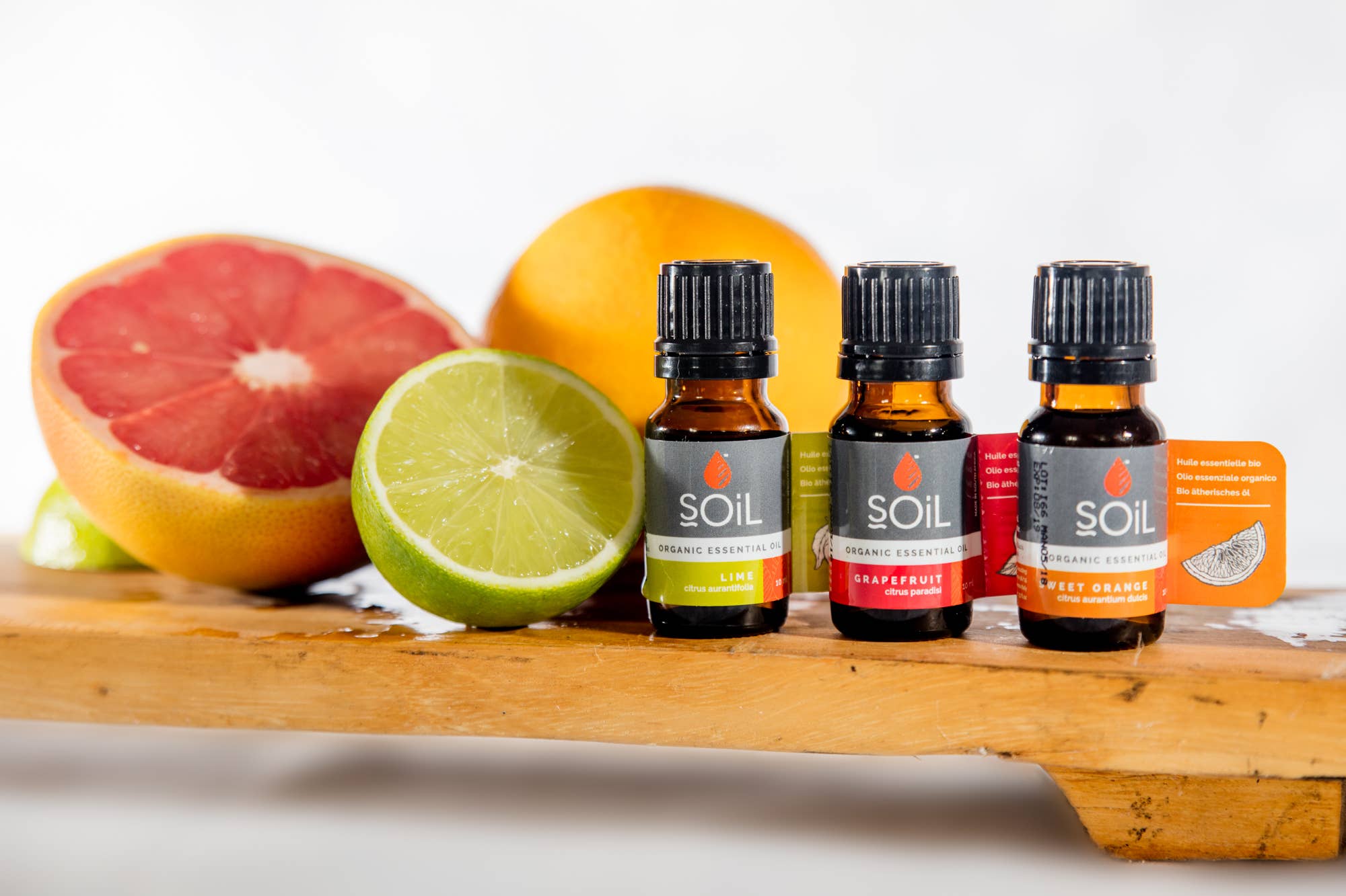 SOiL Organic Aromatherapy and Skincare - Wholesale Essential Oil - Organic Rose Geranium Essential Oil (Pelargoneum Graveolens)4