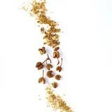 La Boîte - Wholesale Dried Spice - Sansho - tingly, bright Japanese pepper spice