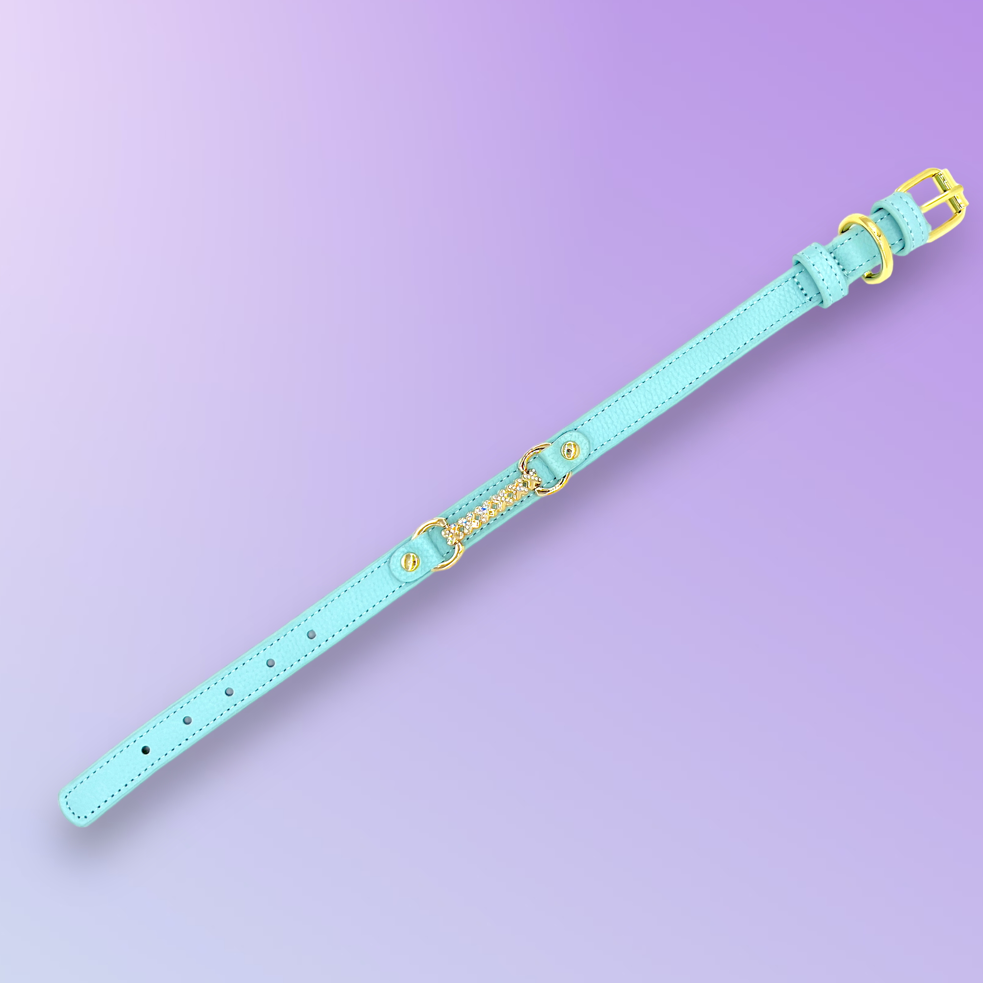 PupWiser - Wholesale Pet Collar - Dog - MAXIMA Handmade Leather Dog Collar (Orange and Turquoise)6