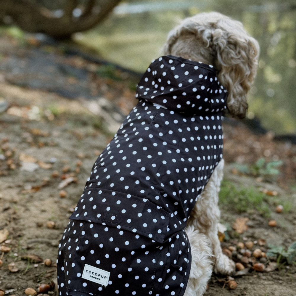 Cocopup London - Wholesale Pet Raincoat - Dog - Dog Raincoat - Black Polka Dot11