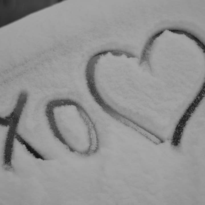 Deixe-o Neve III por atacado de Nikita Fine Art Photography