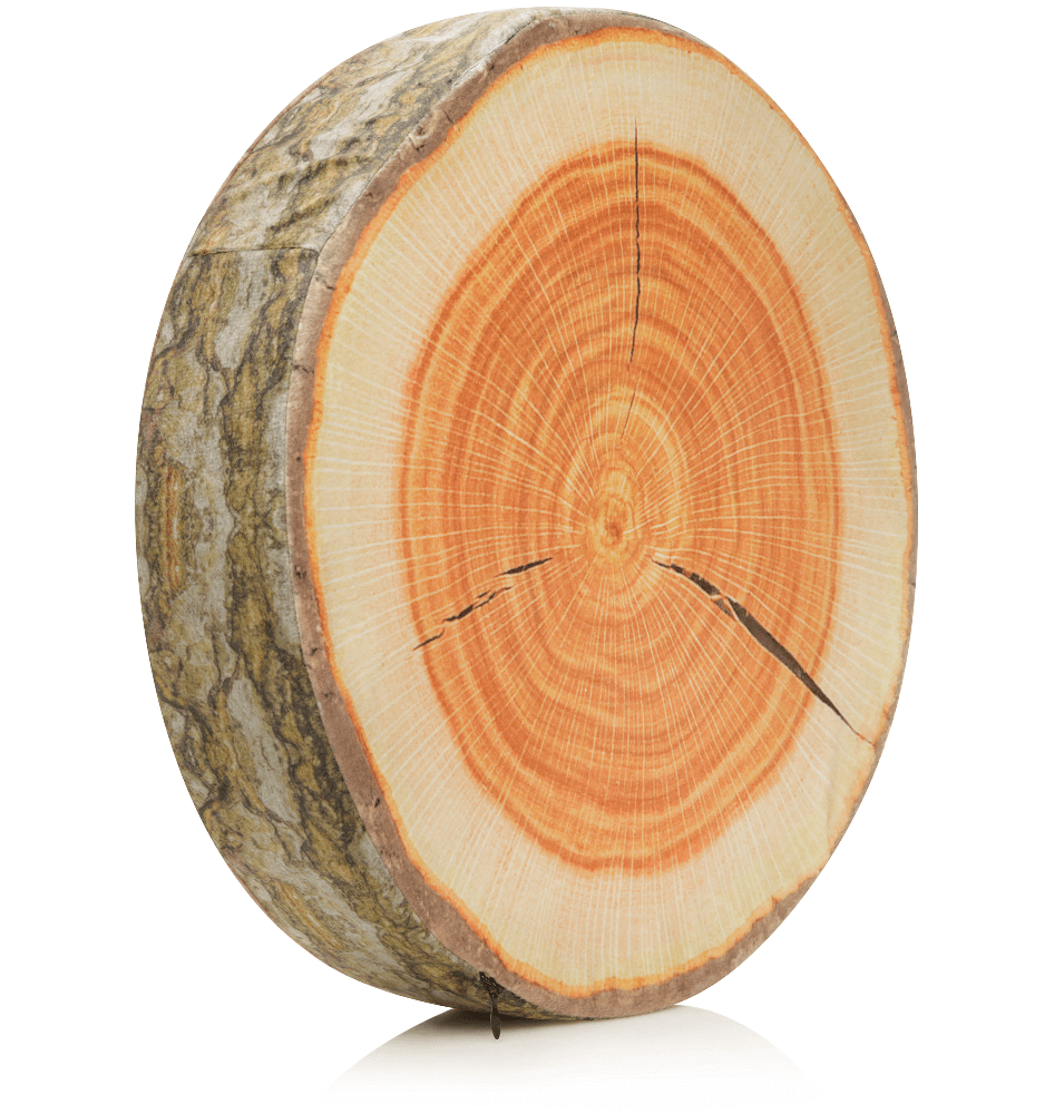 Husband Pillow - Vendita all'ingrosso Cuscini per letto - 360 - FETTA-REGISTRO-MAPL9