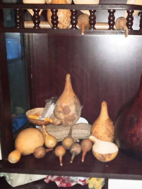 samling af kalabas og babykalabas til boligindretning for engroshandel hos Delight merchants