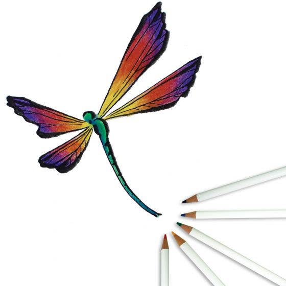 Tombow - Wholesale Colored Pencil - Irojiten Colored Pencil Dictionary Set - Rainforest5