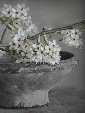 Poster de jardim B08: Flor de pêra por atacado de Nino-Art