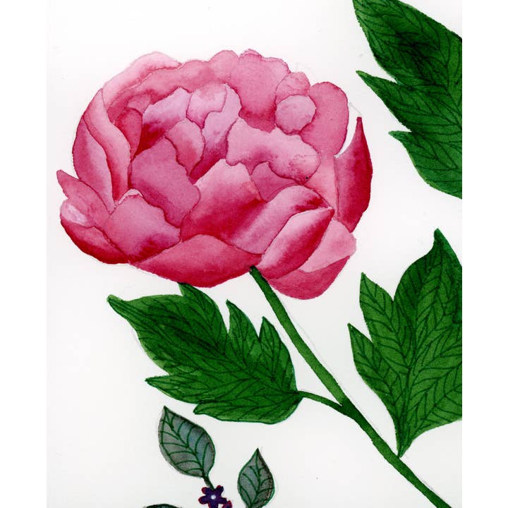 Jen Ray Studio - Wholesale Art Print - Botanical Watercolor Giclee Fine Art Print1