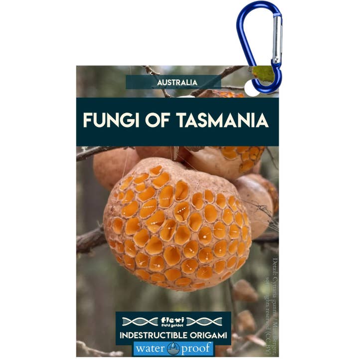 Hongos de Tasmania-Origami Indestructible para venta al por mayor de Flexi Field Guides