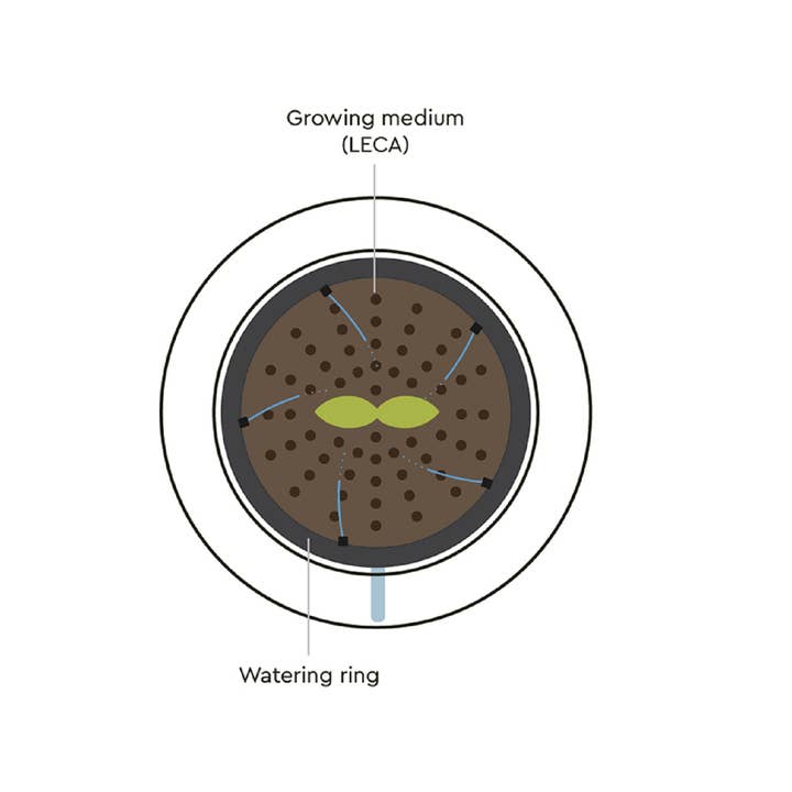 Botanium AB - Wholesale Plant Pot - Botanium - White Smoke10