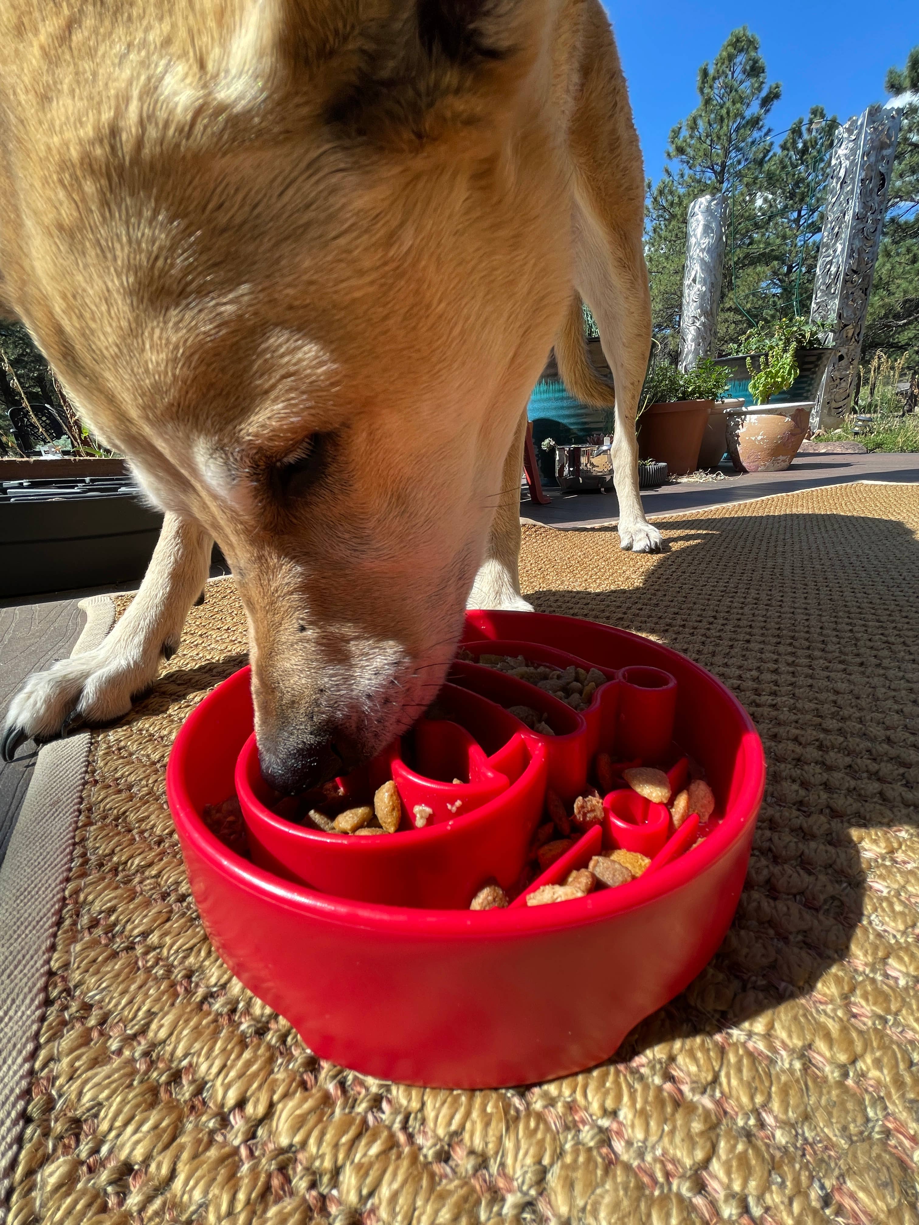 Santa Design eBowl Enrichment Slow Feeder Bowl for Dogs for wholesale on Faire8