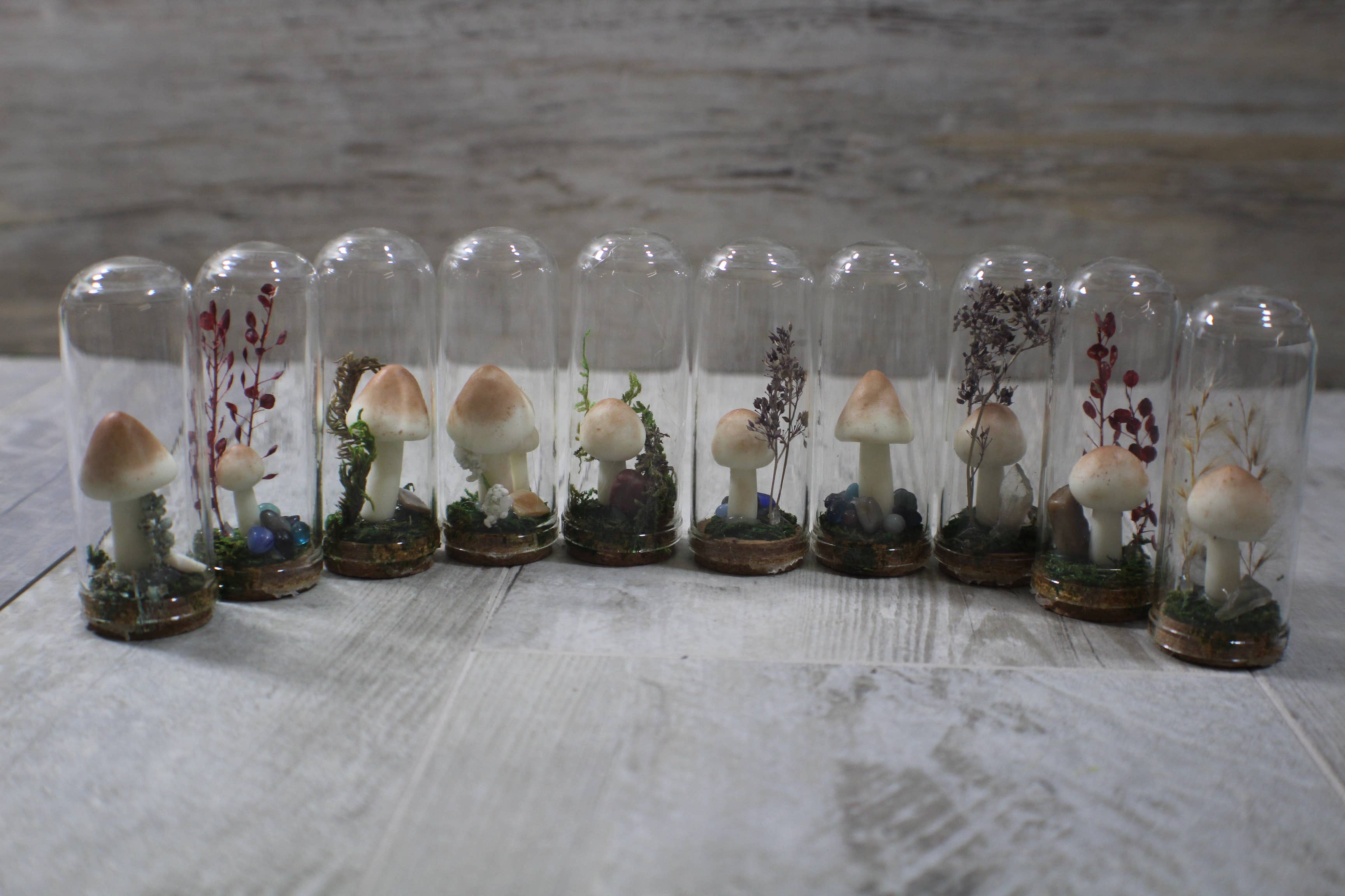 Raven Design - Wholesale Terrarium - Mushroom Terrarium Glows in the Dark!1