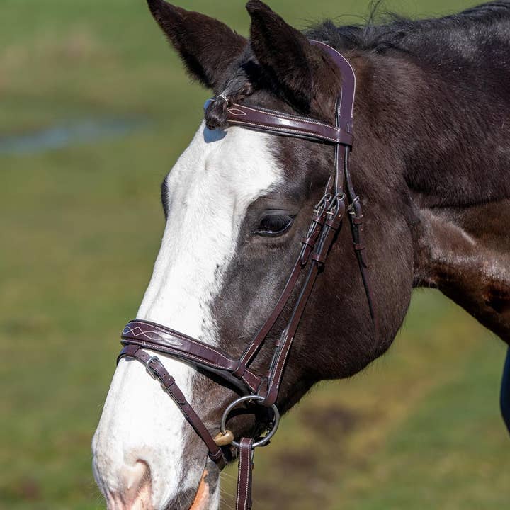 Grewal Equestrian - Vendita all'ingrosso Attrezzatura da equitazione - Munich - Briglia Flash Horse rialzata imbottita in pelle2