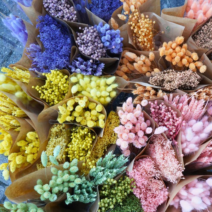 Wildflowers by Floriette - Wholesale Dried/Pressed Flowers - Dried Flowers Mono mix - Lilac3