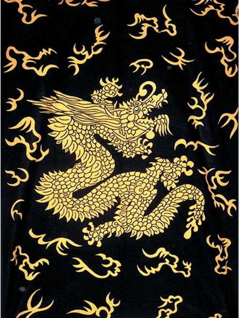 Tapisserie en coton Dragon chinois (environ 8 pi x 9 pi) pour la vente par Magic Touch Corp