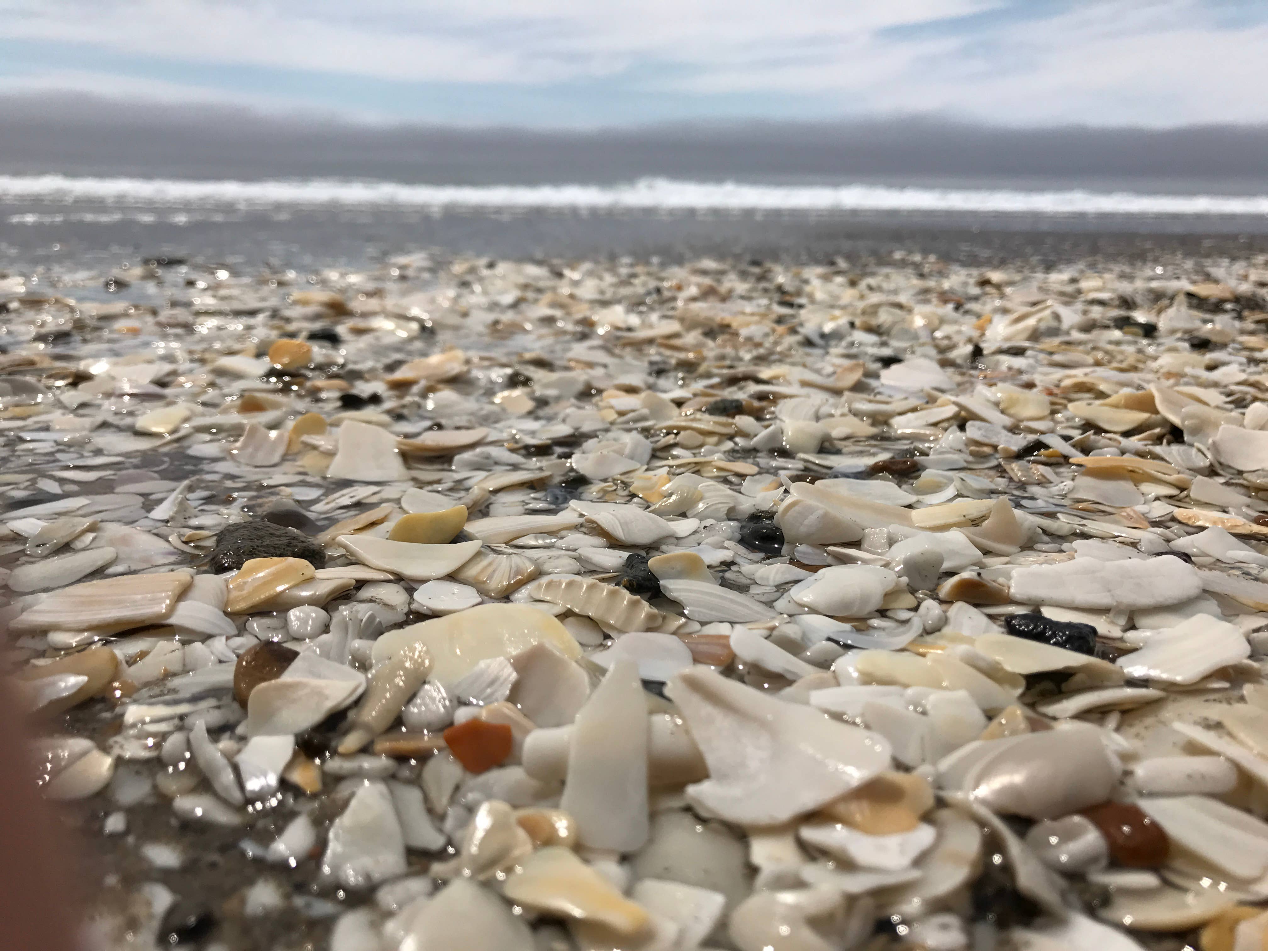 Landmark Fine Goods – wholesale Jar/filled candle – Oregon 1859 Collection® Candle - Pacific Coast3