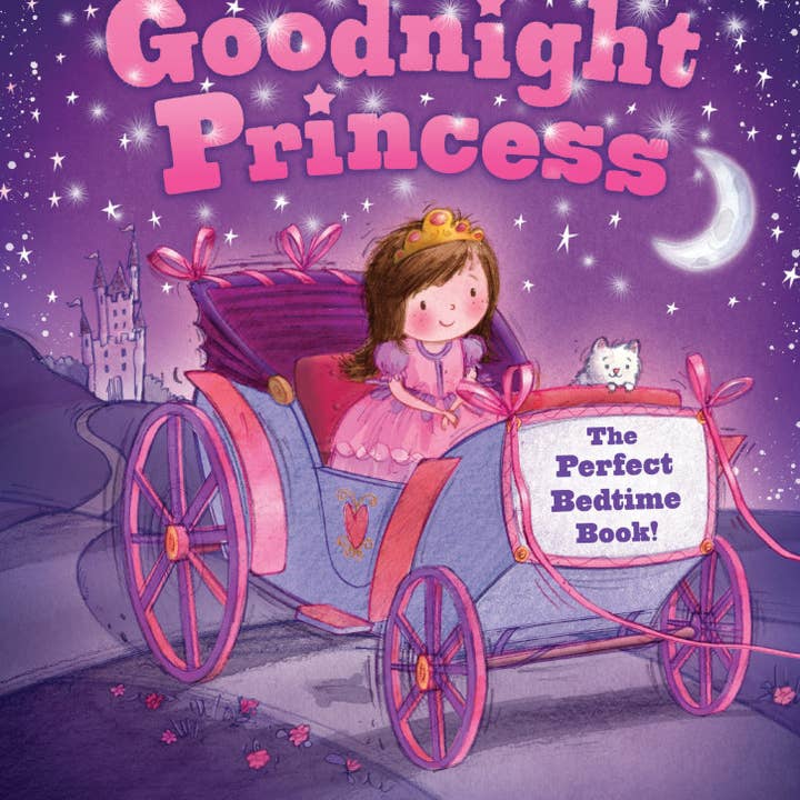 Sourcebooks - Wholesale Baby & Toddler Book (0-2) - Goodnight Princess