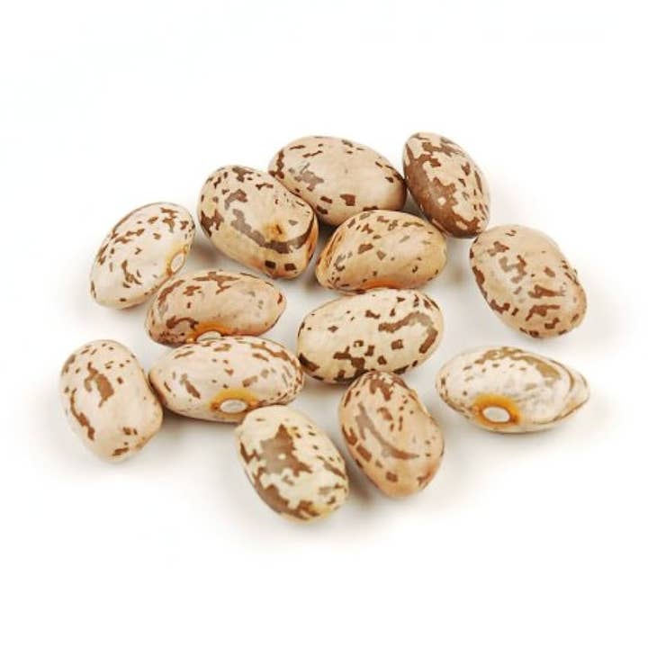 San Jose Produce & Imports LLc – Großhandel Bohnen – Kanadische Pintobohnen Großpackung0