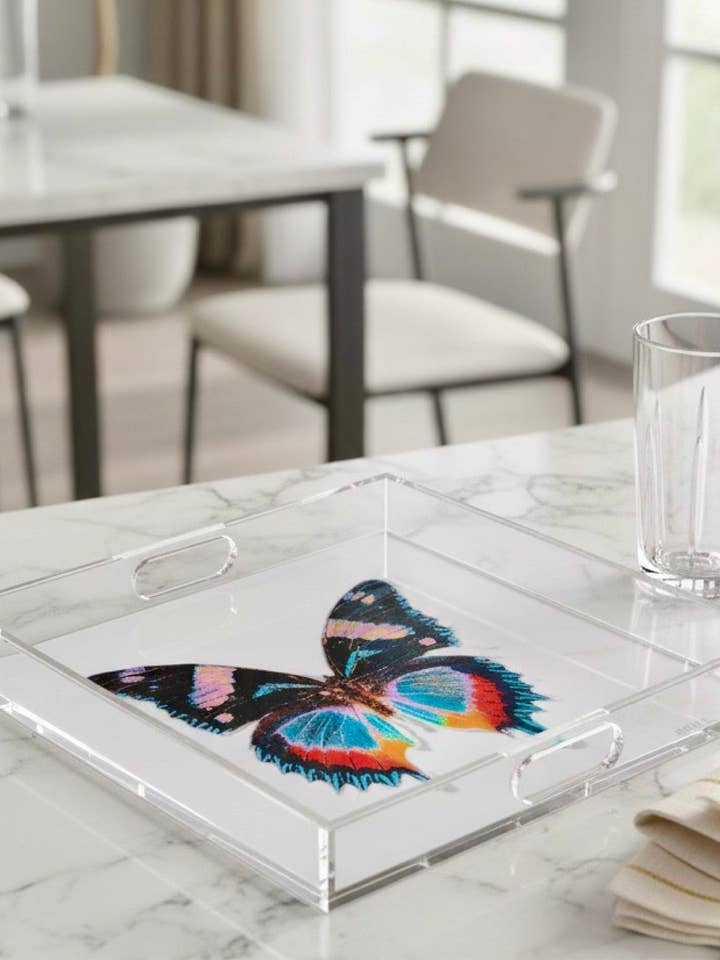 Monarca Iridescente per la vendita all'ingrosso da parte di David Stesner ArtHouse