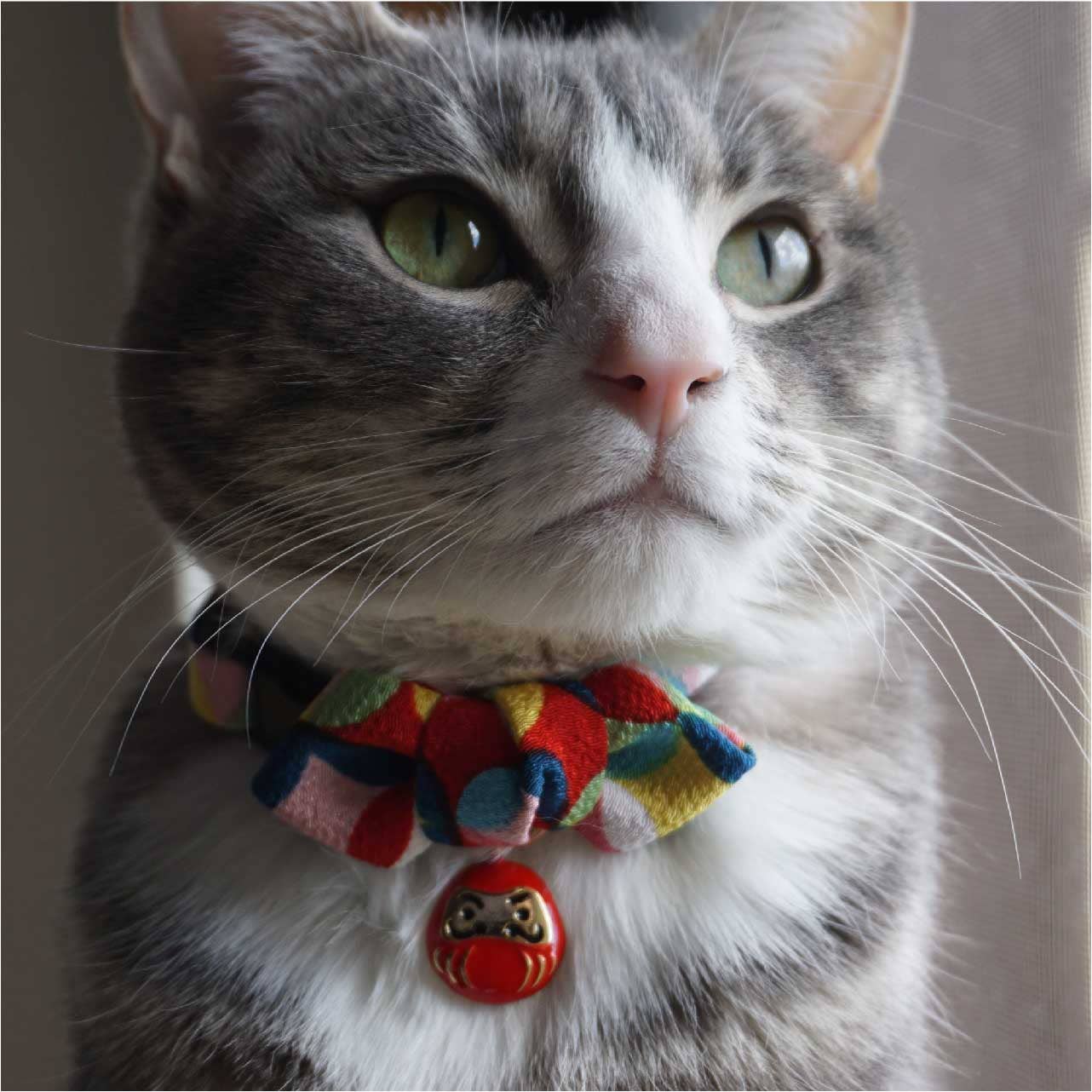 MOON-X USA, INC. - Wholesale Pet Collar - Cat - Daruma Charm Bow Tie Cat Collar (Red)9