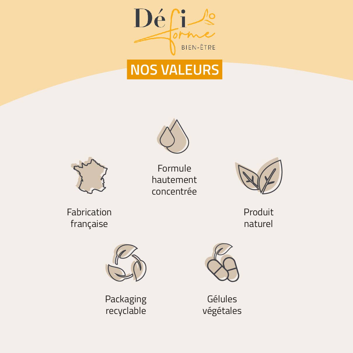 Défi Forme - Wholesale Oral Supplement/Vitamin - Energy Vitamins and Minerals3