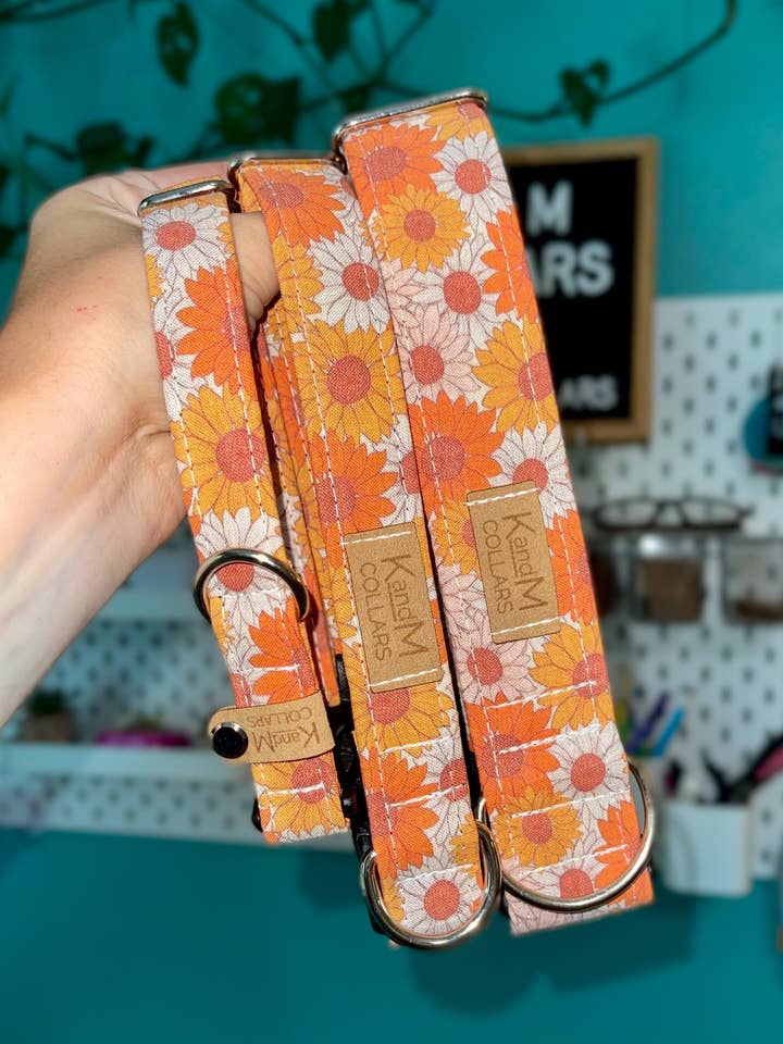 Höstblommor Hundhalsband, Halloween, K och M Halsband för wholesale av K and M Collars