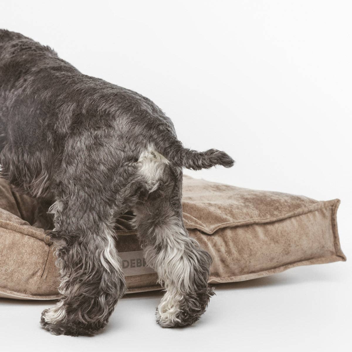 B de Bruno - Wholesale Pet bed – Dog - Basic Moka Case0