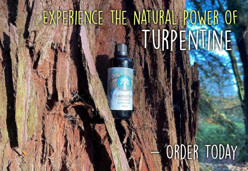 Ancient Purity – wholesale Essential oil – Turpentine Essential Oil - 100ml | Organic from Portugal 4