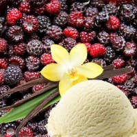 Hometown Candle Co. - Wholesale Jar/Filled Candle - Black Raspberry Vanilla Candle1