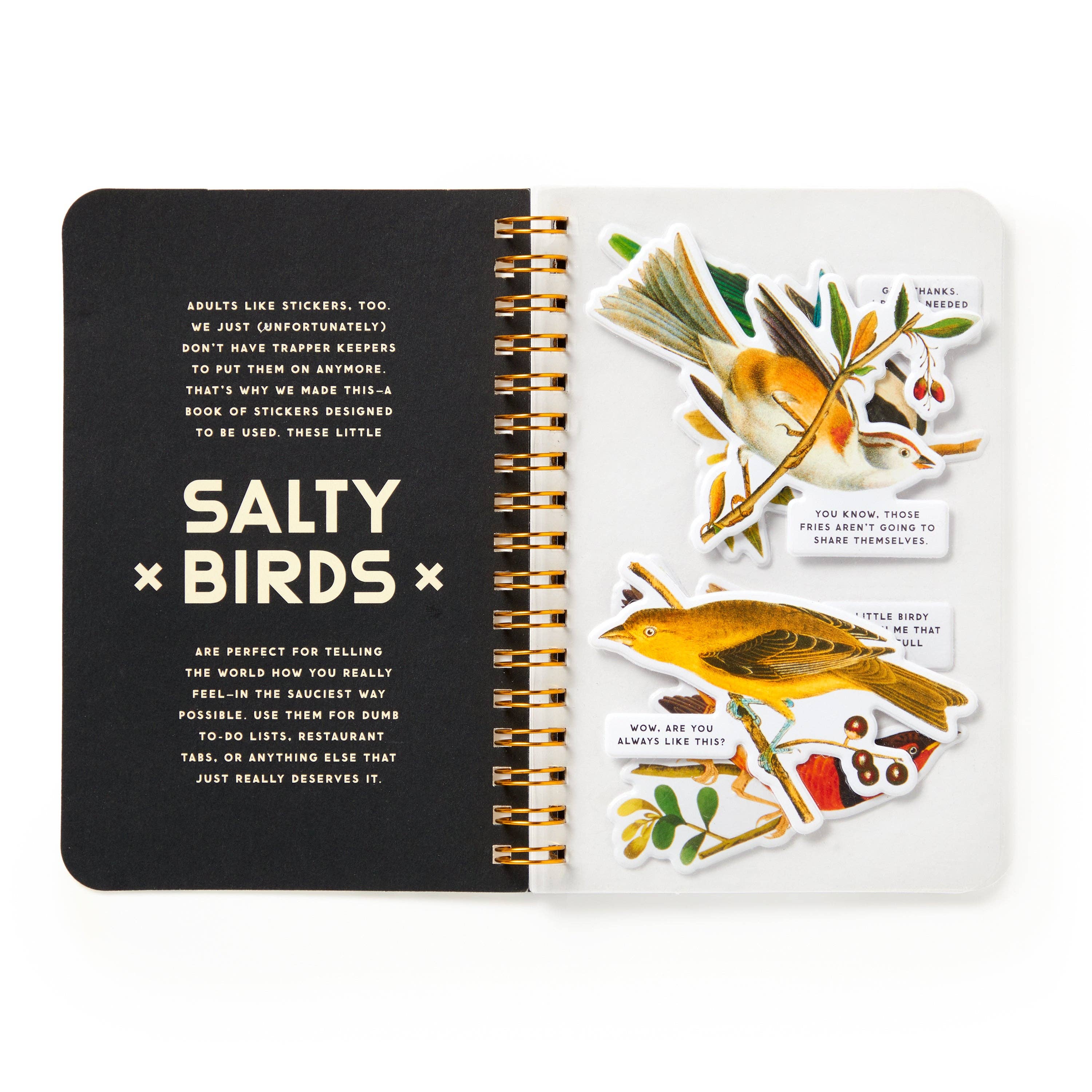 Abrams & Chronicle Books – wholesale Sticker – Salty Birds Sticker Book (Sticker Book or Pack)2