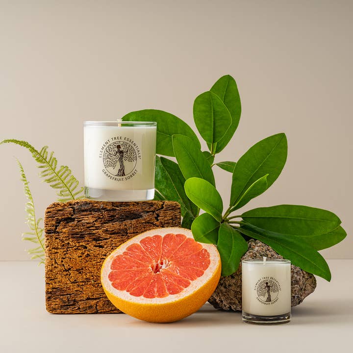 Element Tree Essentials - Wholesale Jar/filled candle - Grapefruit Sorbet Lotion Candle2