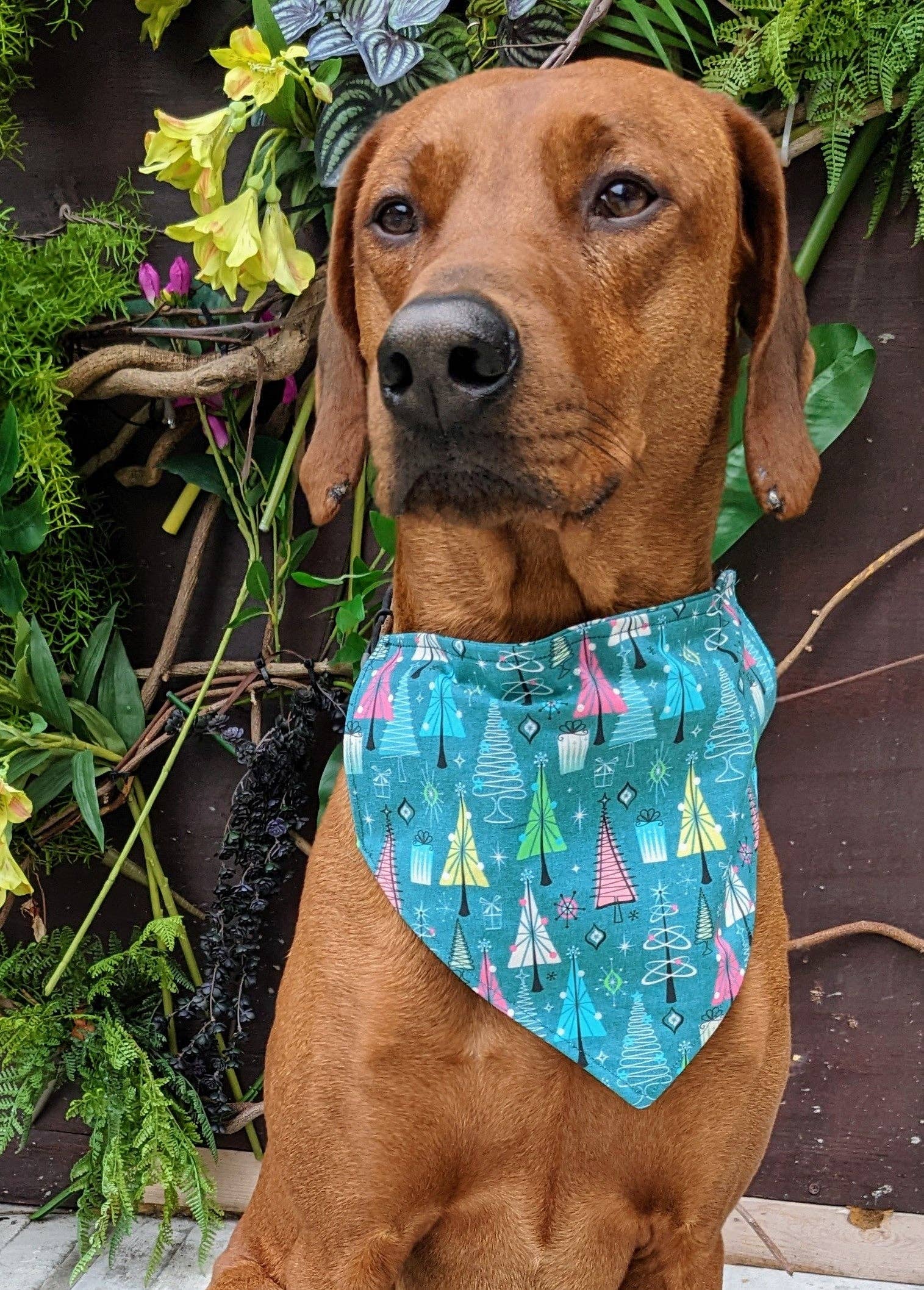 Koa's Ruff Life - Wholesale Pet Bandana - Dog - Christmas Tree Bandana0