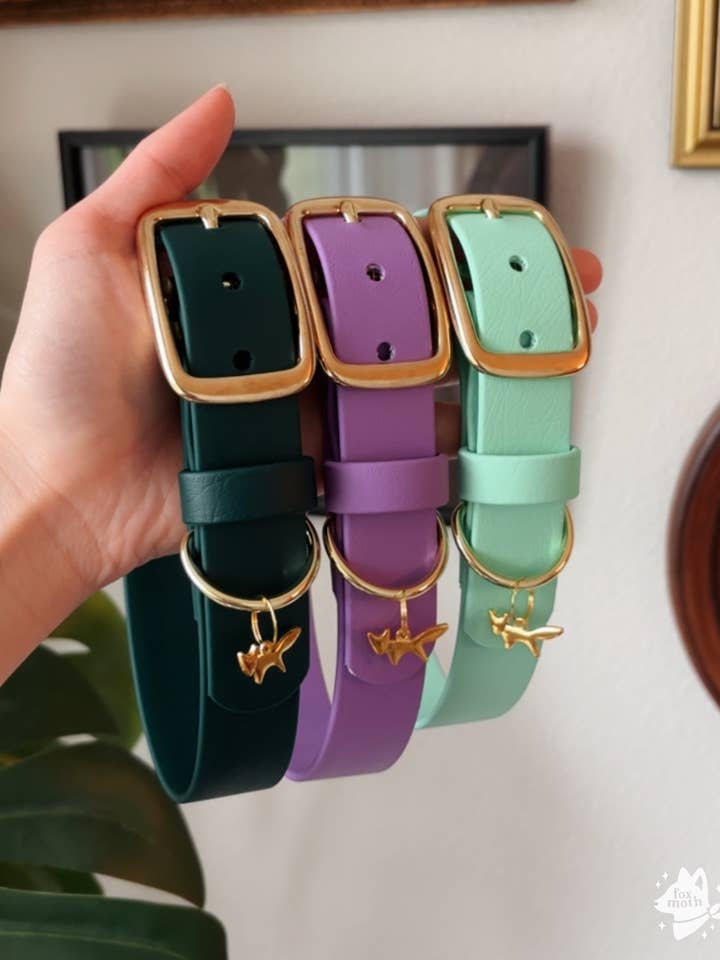 Waterproof Biothane Dog Collar | Evergreen, Berry, Breeze for wholesale by FoxMoth