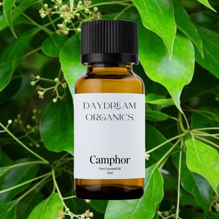 Daydream Organics | Prairie Doctor Brand - Wholesale Essential Oil - Camphor Essential Oil0