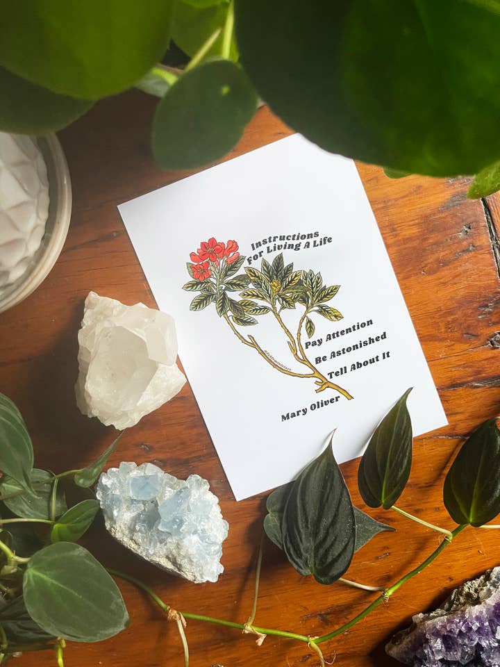 Instrucciones para vivir una vida: Lámina artística de Mary Oliver para venta al por mayor de Fabulously Feminist