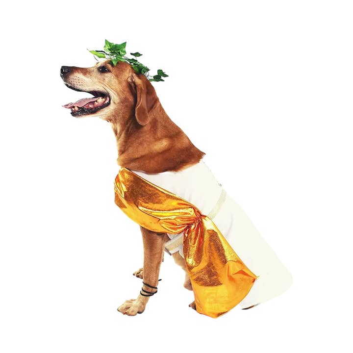 Midlee Designs - Venta al por mayor Disfraz - Perros - Disfraz de perro de Midlee Toga