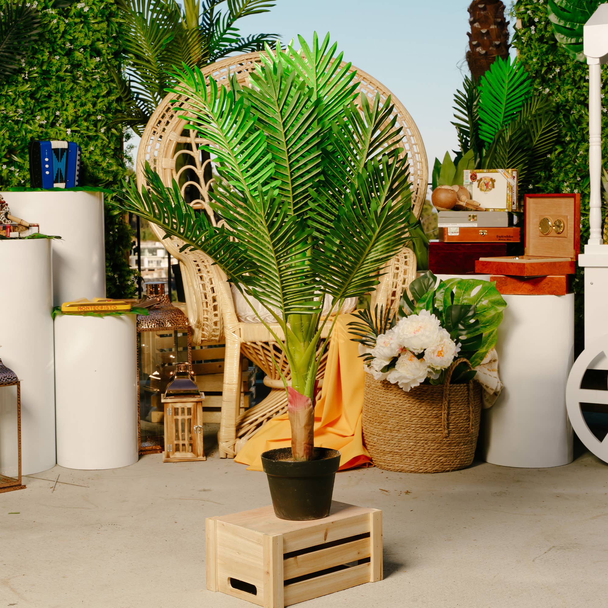Portofino International Trading, USA - Wholesale Artificial Plant - Artificial Potted Areca Palm Tree2